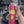 Pinky’s Foaming Car Wash