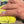 Metal Magic Metal Polish (use by hand or with machine)